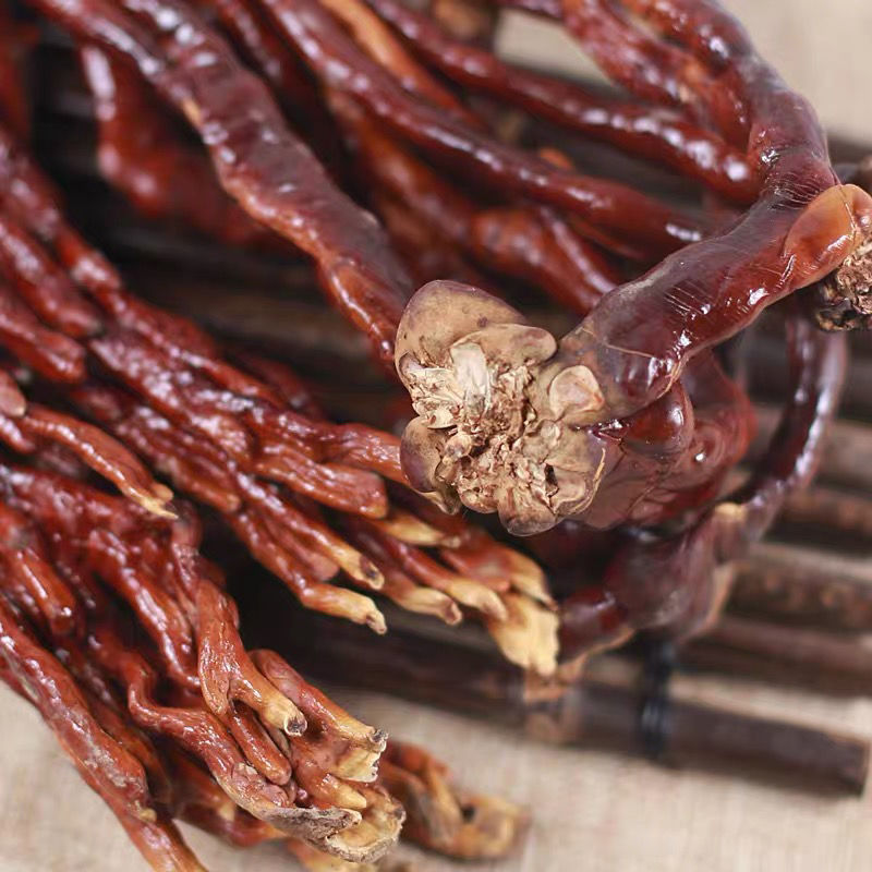 灵芝草 佛手灵芝鹿角灵芝水灵芝草宜配孢子粉500克【图片 价格 品牌