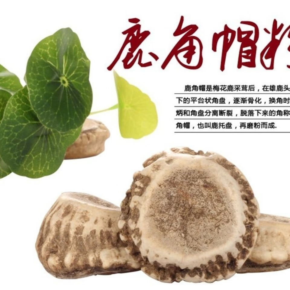 梅花鹿角帽粉吉林鹿角粉通乳鹿托盘粉盘鹿角胶纯正50克 官方直营鹿角