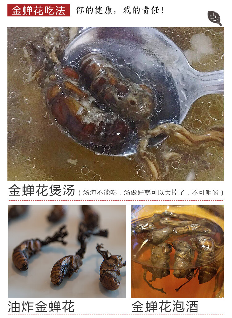 大别山金蝉花蝉花虫草粉新货竹林蝉花虫草孢子粉中药材知了花精品草药