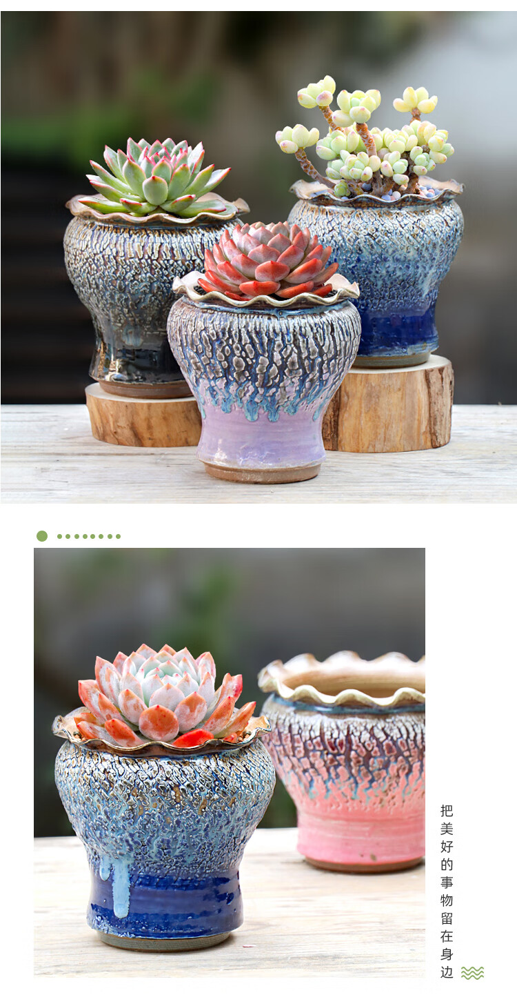 苓芊景德镇陶瓷手工粗陶盆小高桩法师盆群生拼盘多肉花盆花器花卉盆栽
