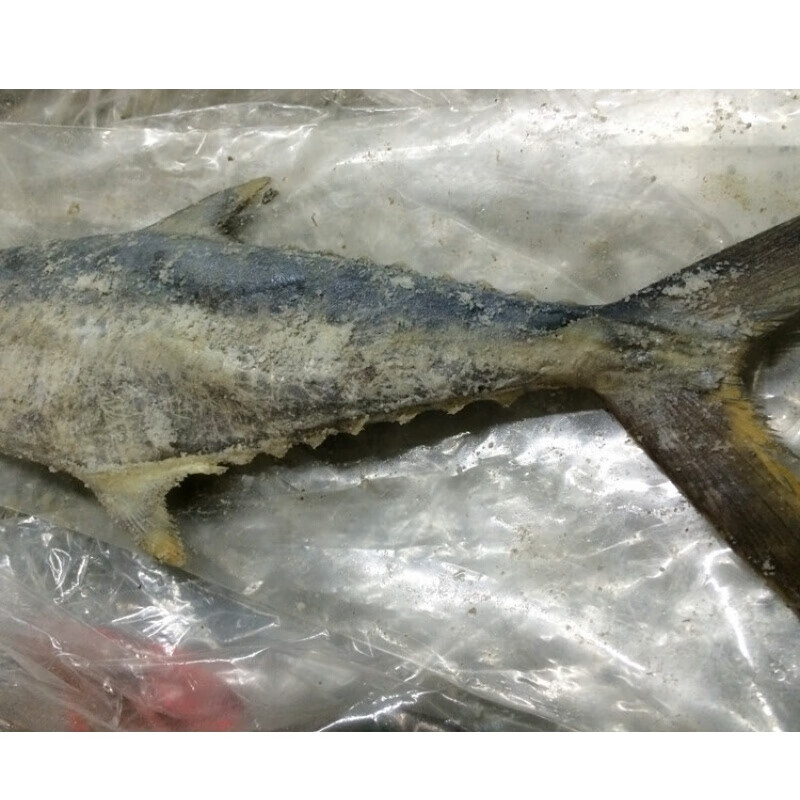 梅香咸鱼500g 广东梅香马鲛鱼霉香马交鱼梅香咸鱼干货 香咸鱼干货