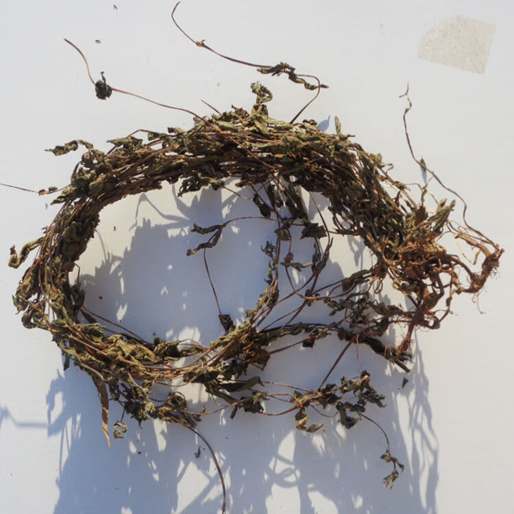 凯史甘斯 雾水葛中药材地消散 脓见消 田薯 水麻秧 拔脓膏 糯米草