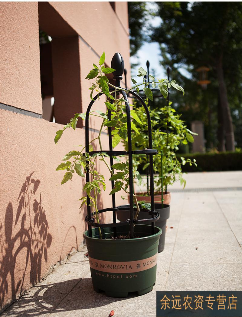 昙花支架昙花架子支架固定蓝雪花爬藤架植物造型蟹爪兰架子支架多层