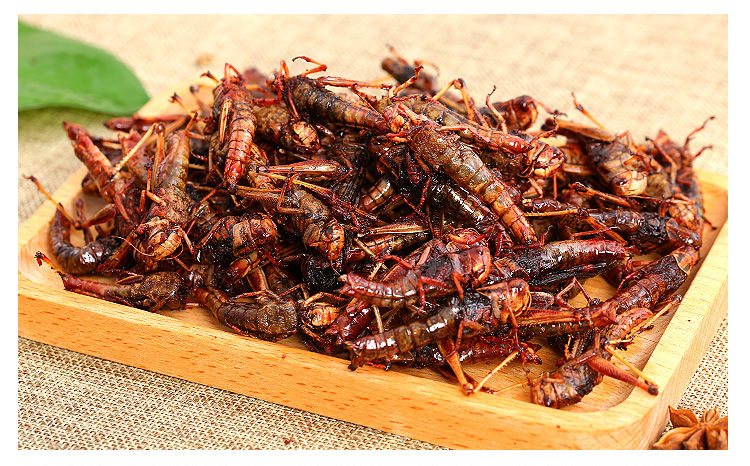 新鲜蚂蚱油炸即食香辣去翅膀昆虫活体蚱蜢麻辣零食小吃蝗虫美食椒盐