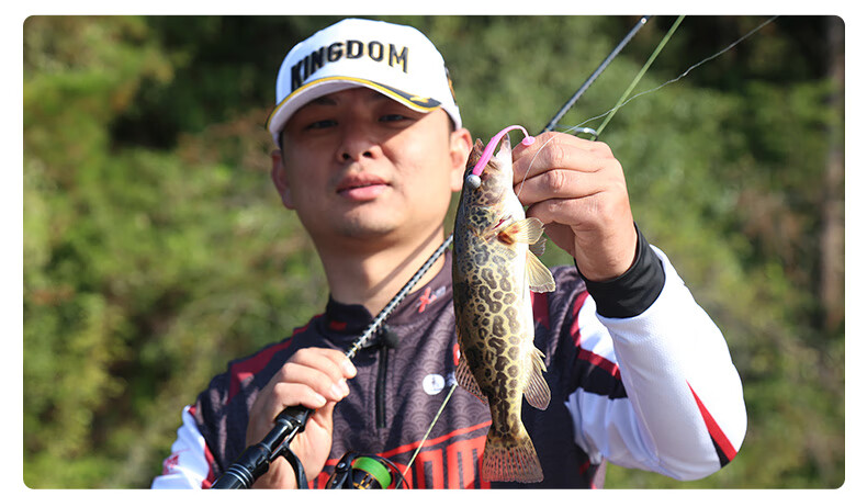 国王路亚t尾软饵软虫2839寸72100mm铅头钩倒钓组鲈鱼假饵72mm21g02