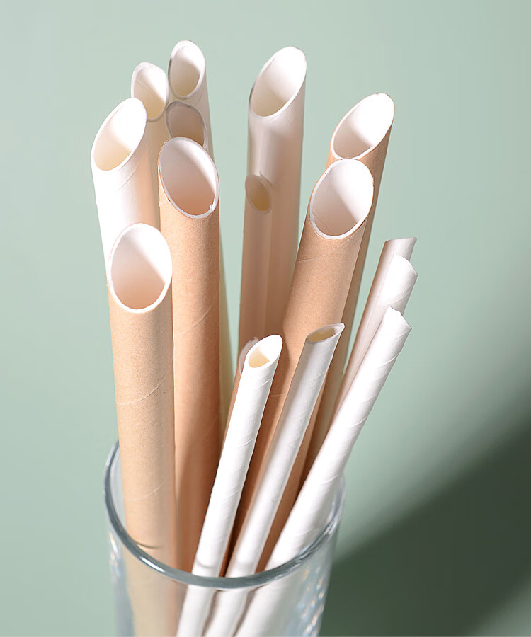 一次性环保纸质奶茶吸管单独立包装可降解珍珠奶茶商用大吸管6x210