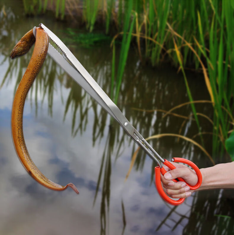 爱伊贝紫不锈钢黄鳝夹子鳝鱼夹泥鳅螃蟹钳子防滑防脱抓捉工具赶海神器