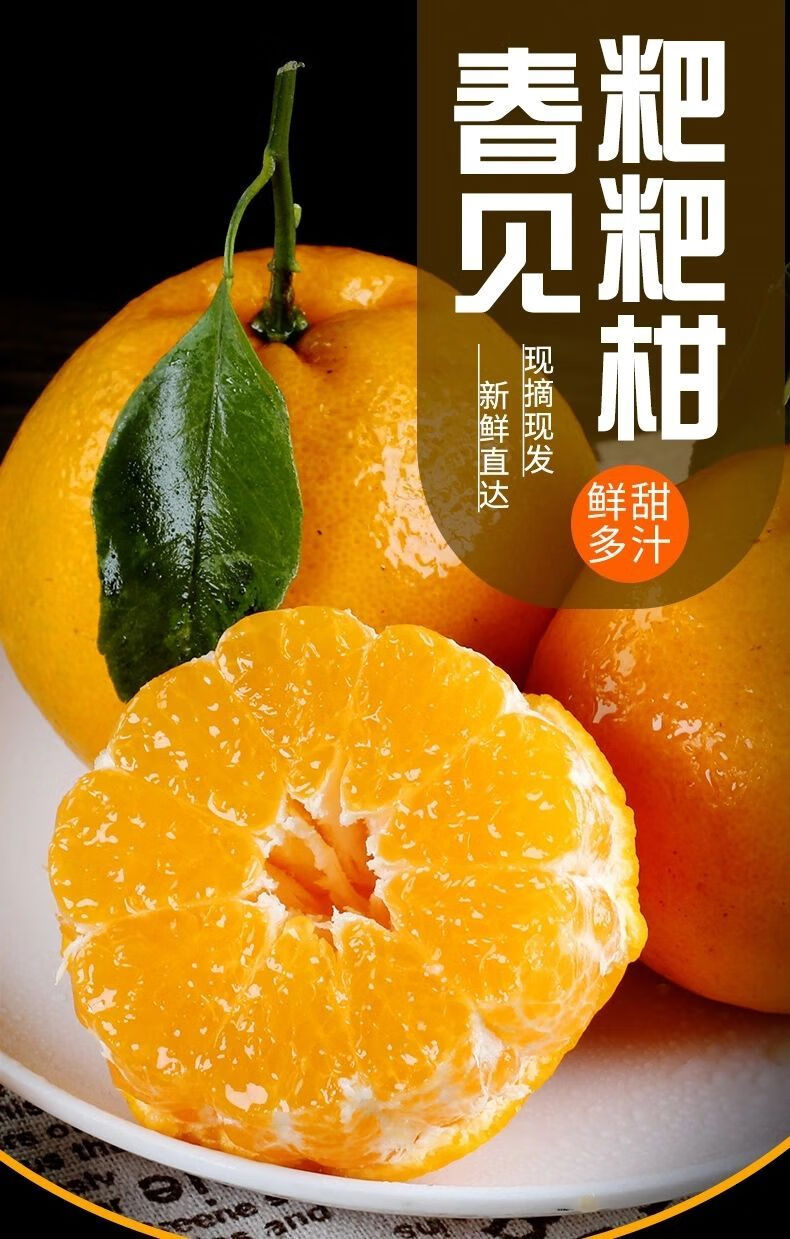 金钱豹春见粑粑柑是什么(金钱豹春见耙耙柑)