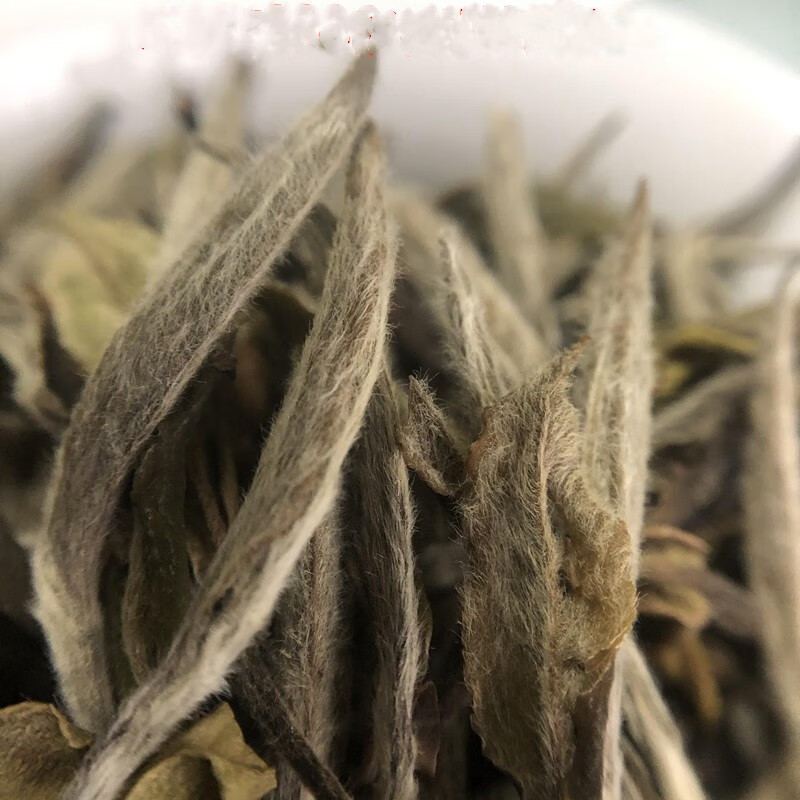 2006年白牡丹王荒野老白茶牡丹王太姥山白茶牡丹王500克 500g【图片