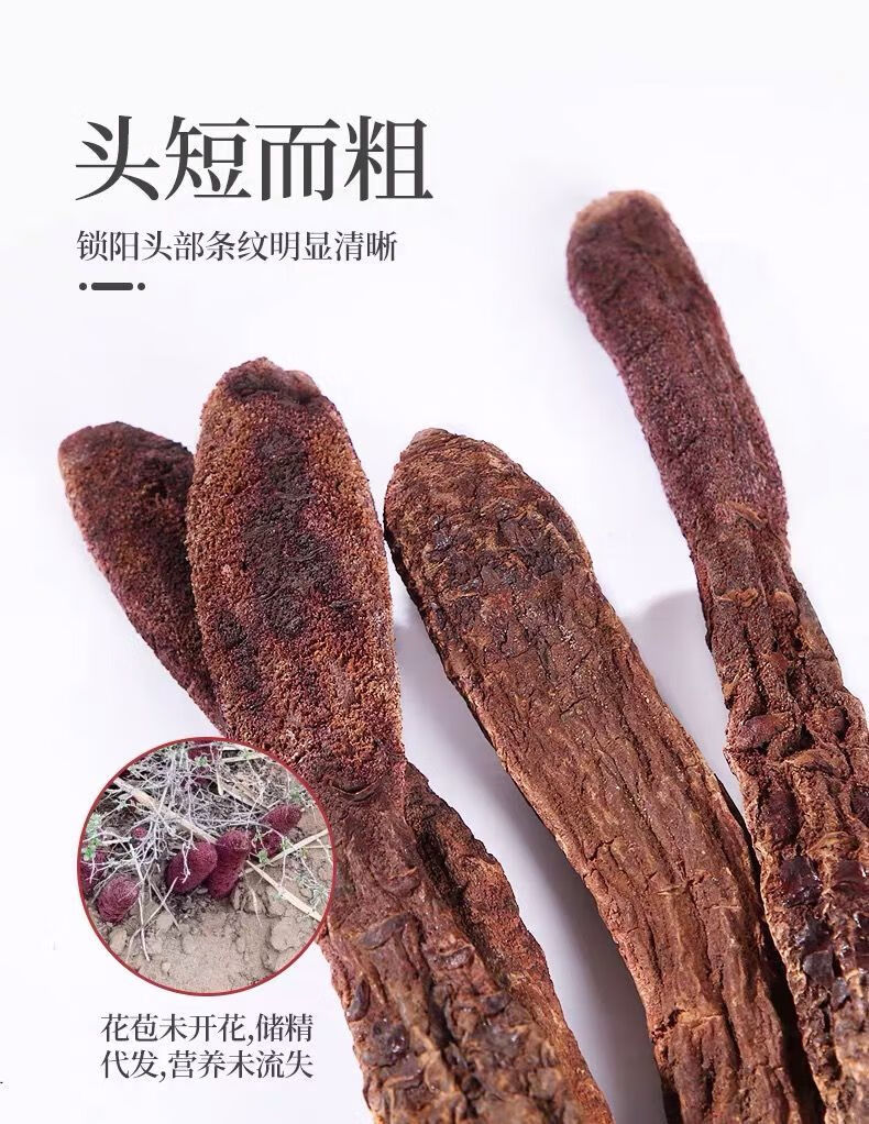 内蒙古阿拉善金锁阳片去皮泡酒搭配肉苁蓉淫羊霍正锁阳整根250克