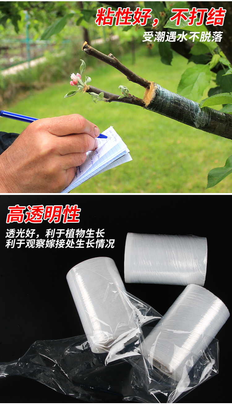 果树嫁接膜糯米纸树苗嫁接膜加厚自粘式塑料月季接树膜包扎带20卷宽10