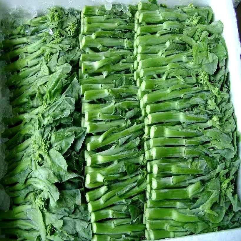 新鲜中花 芥兰农家应季蔬菜 芥兰芥蓝 爽脆可口好吃下饭品质生活 泡沫