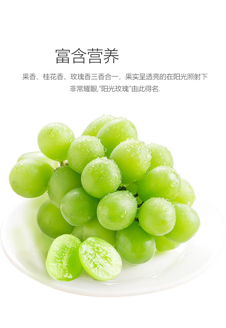 云南香印无籽葡萄青提 新鲜阳光玫瑰 日本引进晴王品种生鲜水果 4斤