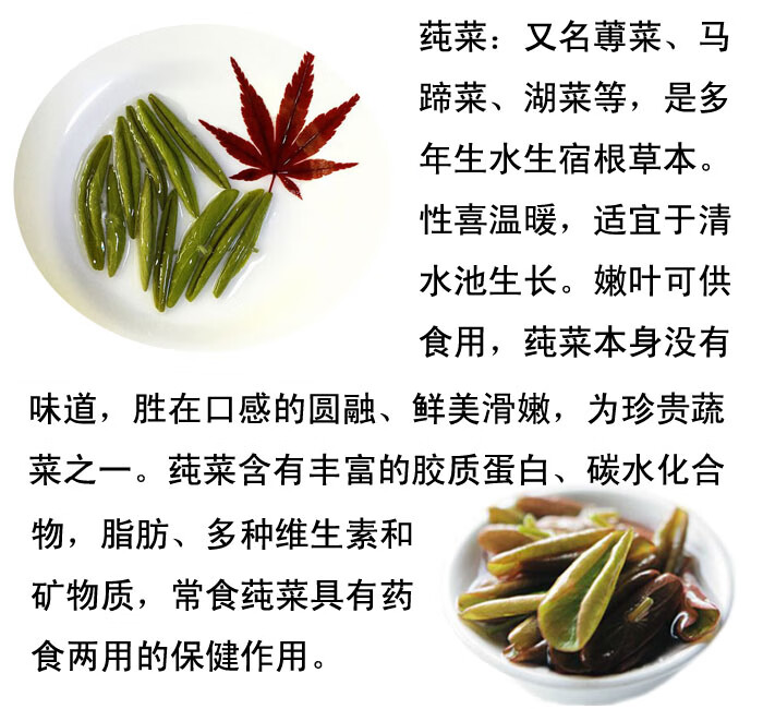 苏州太湖新鲜莼菜两瓶1500克礼盒装苏州东山pk西湖莼菜马蹄菜利川