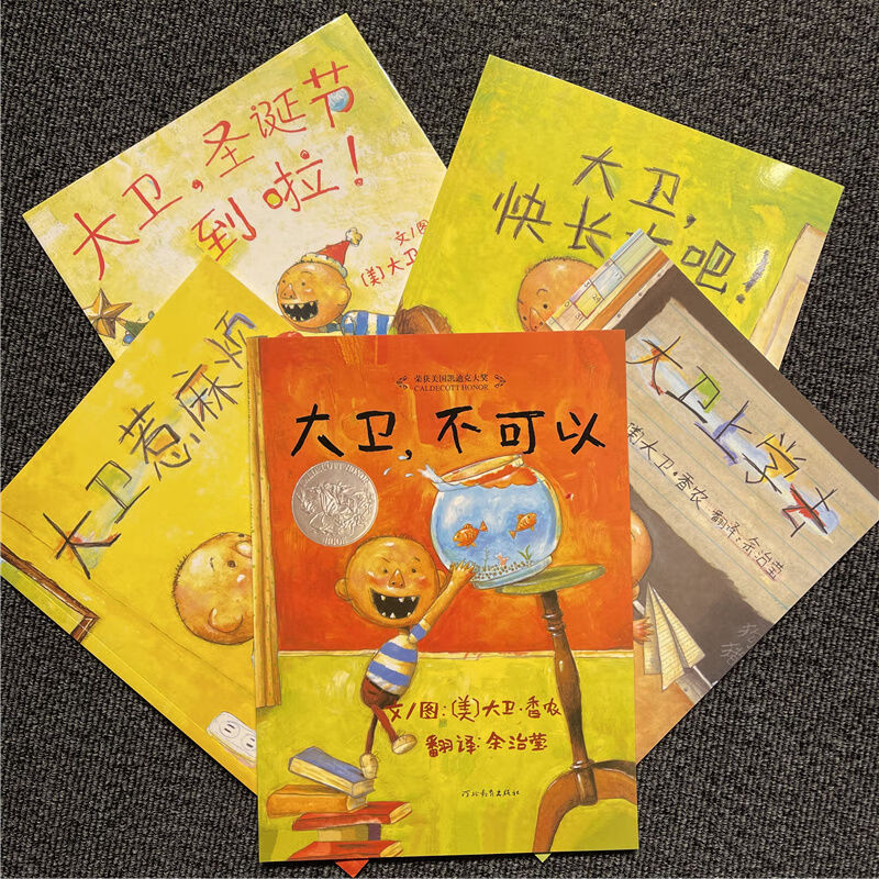 大卫不可以系列全套5册精装硬壳绘本大卫上学去惹麻烦快长大吧胶装软