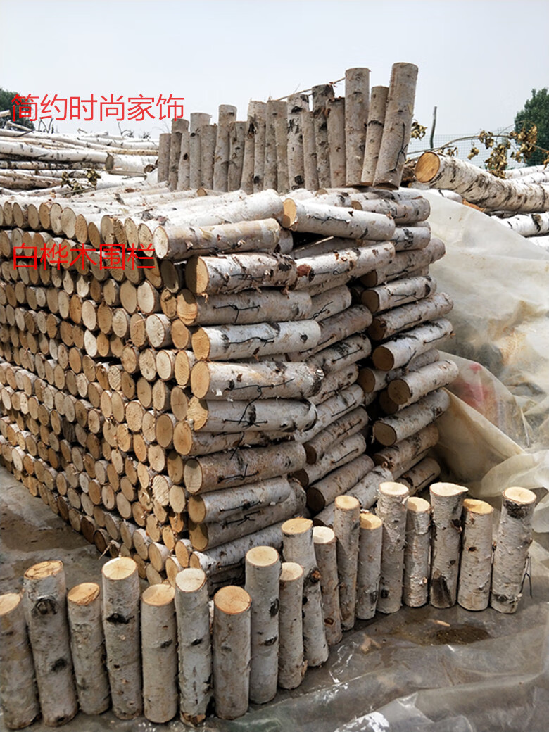 kelekel白桦木围栏森系木桩篱笆栅栏花园庭院装饰造景摆件原木桩木墩