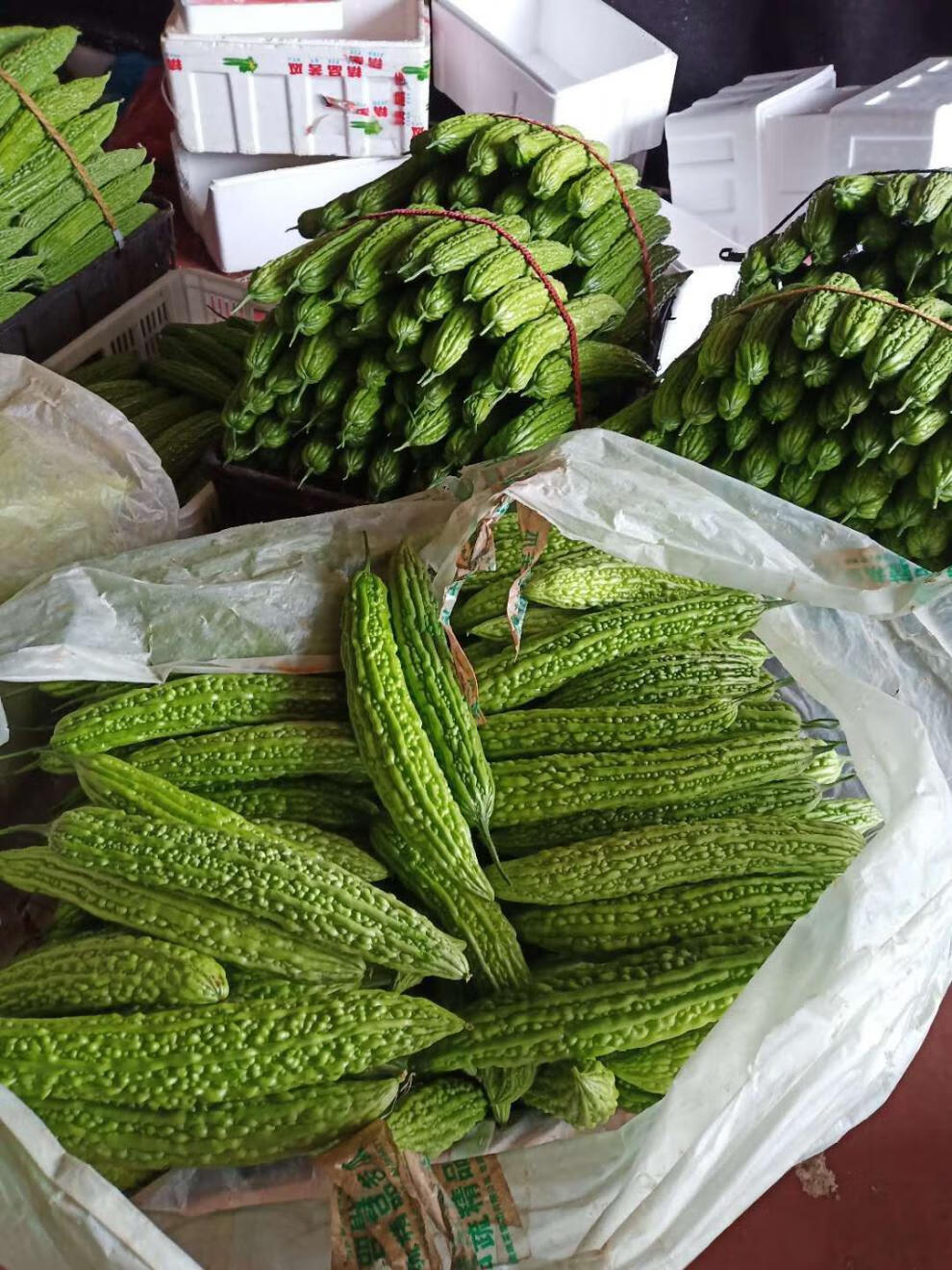 新鲜苦瓜1-5斤现摘农家自种苦瓜新鲜蔬菜凉瓜山东生鲜瓜采缇 鲜瓜五斤