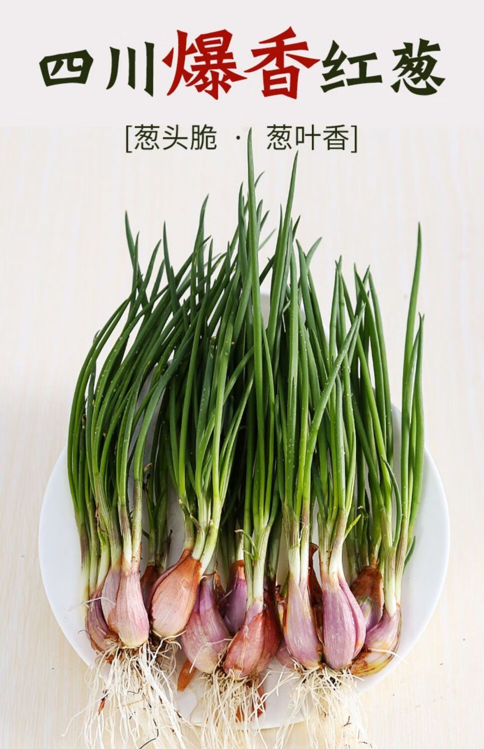 新鲜红葱头批发3斤四季葱头特香熬油盆栽种植食用5斤四季香葱头红葱头