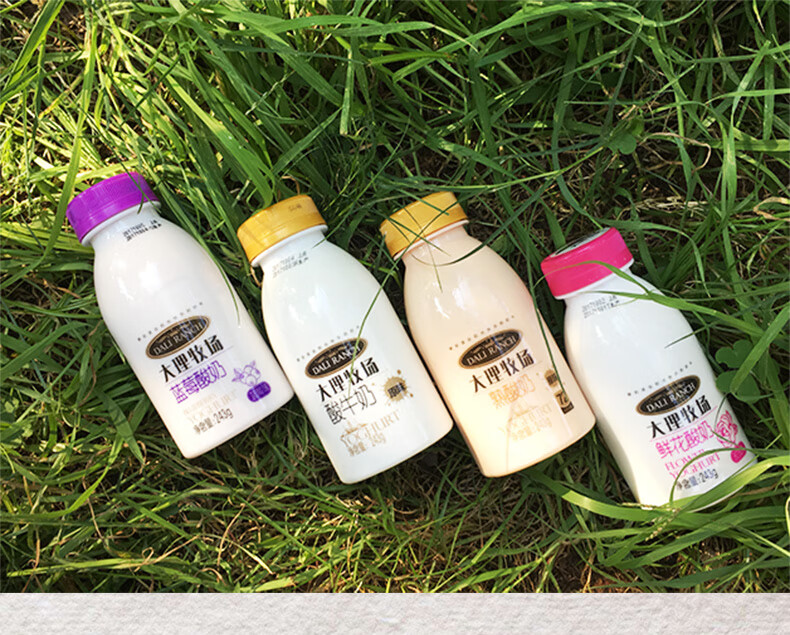 欧亚大理牧场酸奶原味鲜花蓝莓熟酸奶云南特产酸奶243g12瓶6瓶蓝莓6瓶