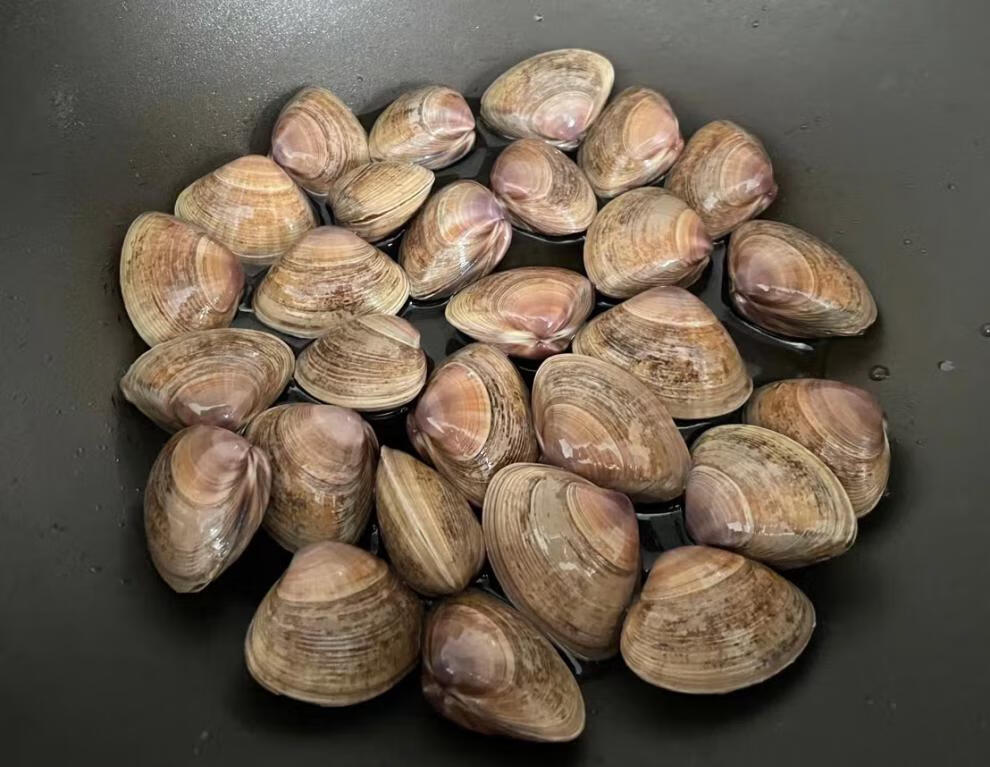 5折 丹东特产 大黄蚬子保鲜两斤 全黄两斤 全黄鲜活非花甲 已经去沙