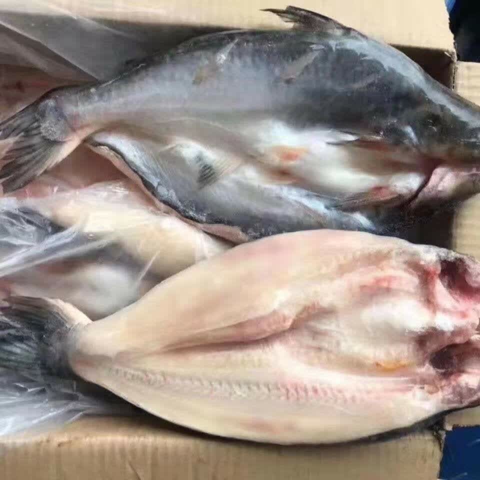 新鲜冷冻整条开背巴沙鱼湄公鱼龙利鱼开背净膛烤鱼速冻深海海鲜 1条装