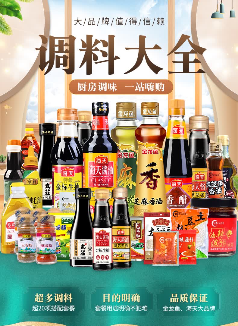 海天调料组合小套装厨房调料组合套装油盐酱醋调味香料佐料大全套海天