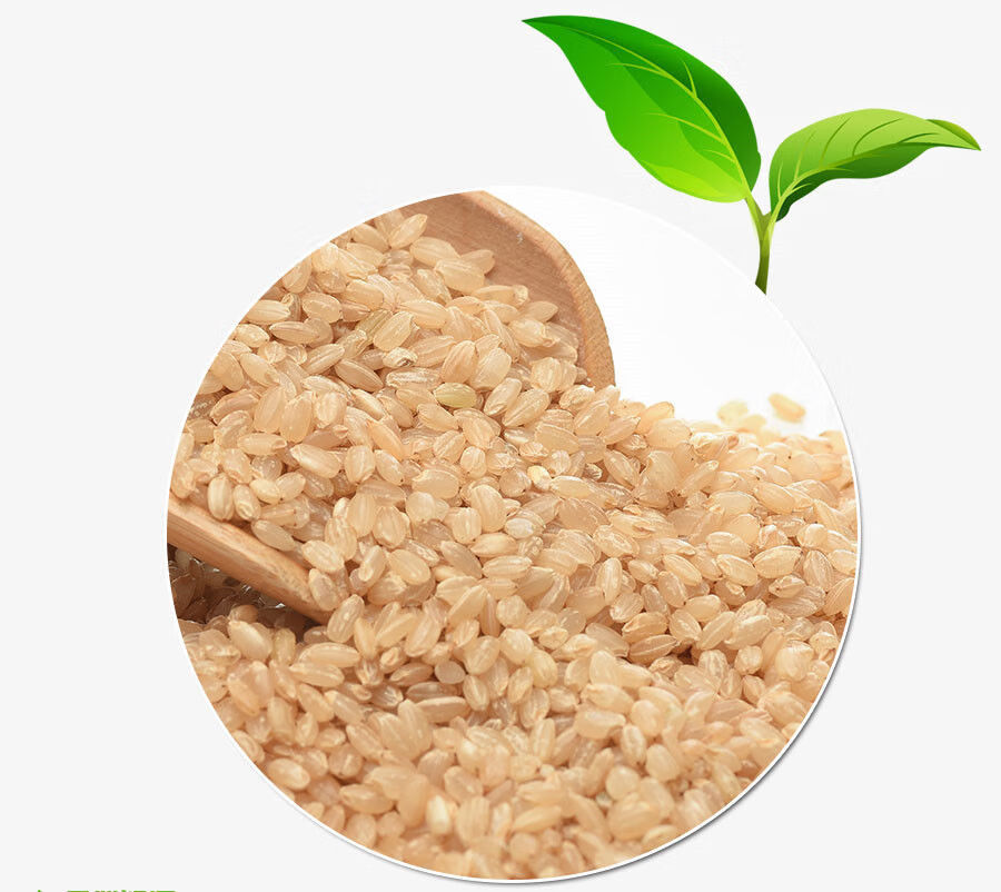 20年新米东北糙米5斤黄糙米农胚芽米粗粮饭发芽米糙米饭健身餐5斤