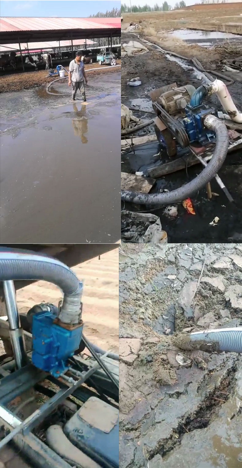 定制强力抽粪泵养殖场专用无堵塞自吸猪粪机家用化粪池排污泥浆泵2寸