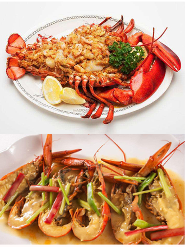 波士顿龙虾鲜活海鲜水产大龙虾波士顿龙虾8斤85斤1只