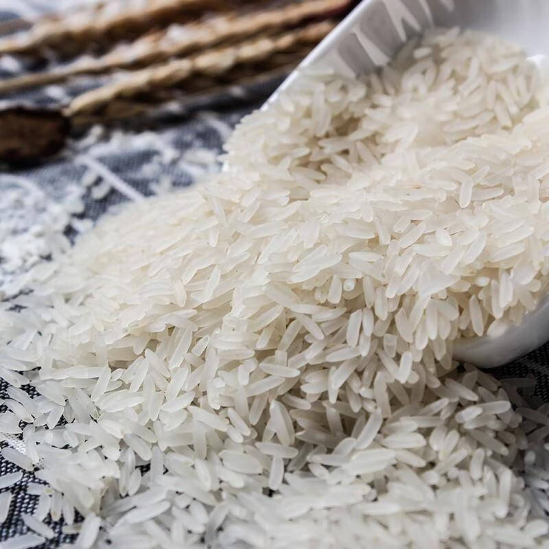 阿灿米罗定阿灿米亚灿米晚造米罗定特产大米阿灿晚造大米1kg【图片