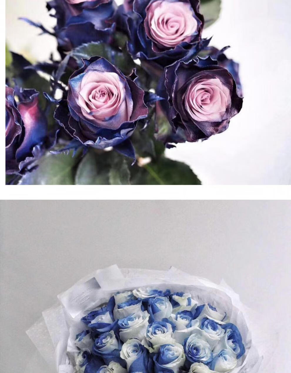 满味园鲜花速递同城配送进口厄瓜多尔玫瑰花束生日礼物送女友老婆北京