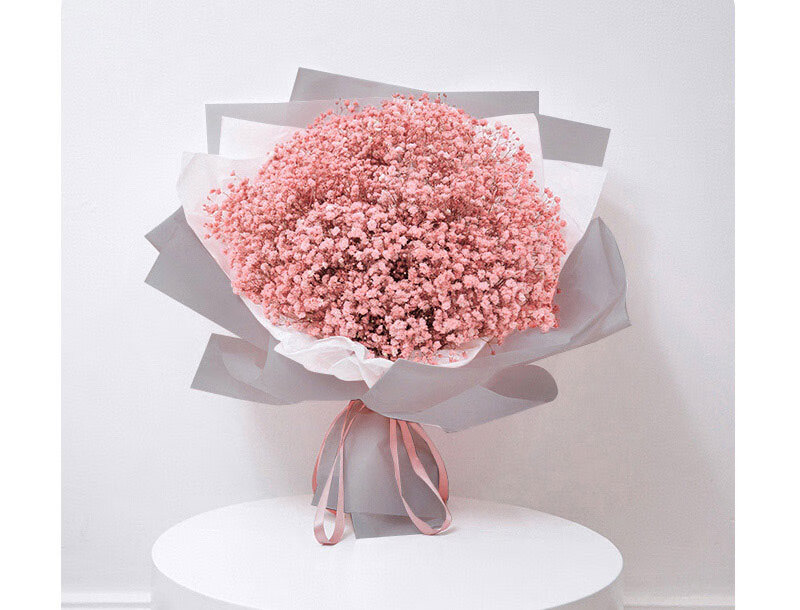 闺蜜礼品元旦节圣诞节礼物玫红色满天星白皂花法兰丝白色橱窗手提袋灯