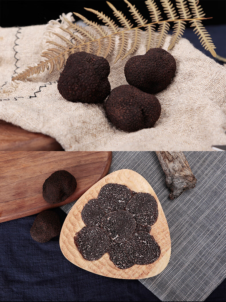 云南新鲜成熟野生松露菌黑松露块菌5cm精品松露500g可配礼盒35cm鲜