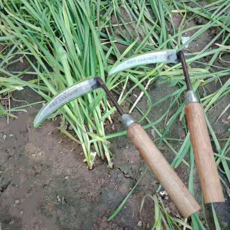 汐岩进口割韭菜专用小镰刀家用工具超锋利小号割刀子大棚蔬菜刀割草刀