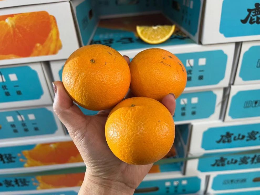 顺丰直达现货广西鹿山蜜橙新鲜当季甜橙子整箱礼盒约