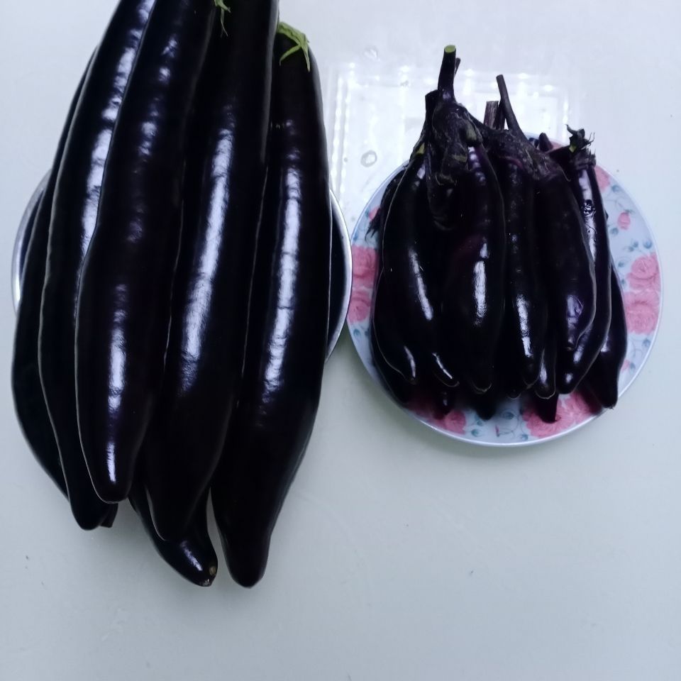 农户自种紫裤小紫茄子水果茄子健美菜系列精选1斤装