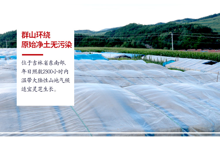 af843c5b0931dc06.jpg