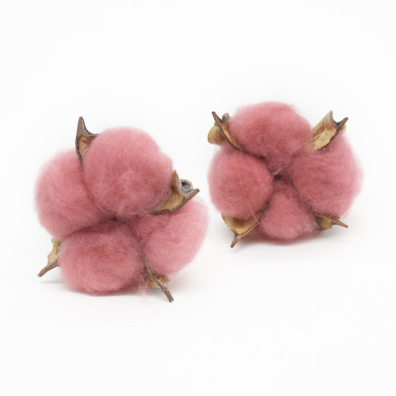 棉花天然干花仿真花家居装饰婚庆手捧花墙植物墙假花 桃红 5个