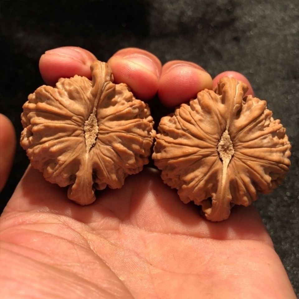 文玩核桃三角闷尖白狮子头古玩手玩老树粗筋小尺寸手捻盘玩手把件 闷