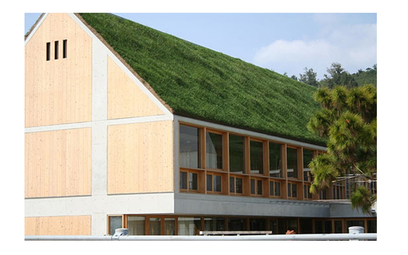 阳光房顶遮阳隔热草坪楼顶玻璃屋顶车顶防晒草皮塑料草坪宠物垫子30mm