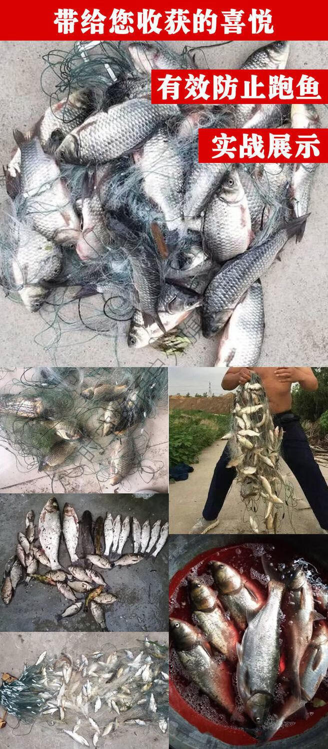 渔网粘鱼丝网三层沉网单层浮网鱼笼地网笼网鱼网地龙挂子鱼网捕鱼网捕