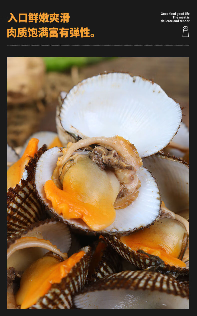 毛蚶血蛤鲜活赤贝新鲜小海鲜贝类水产鲜活大毛蛤蜊现捕泥蚶 1斤尝鲜装