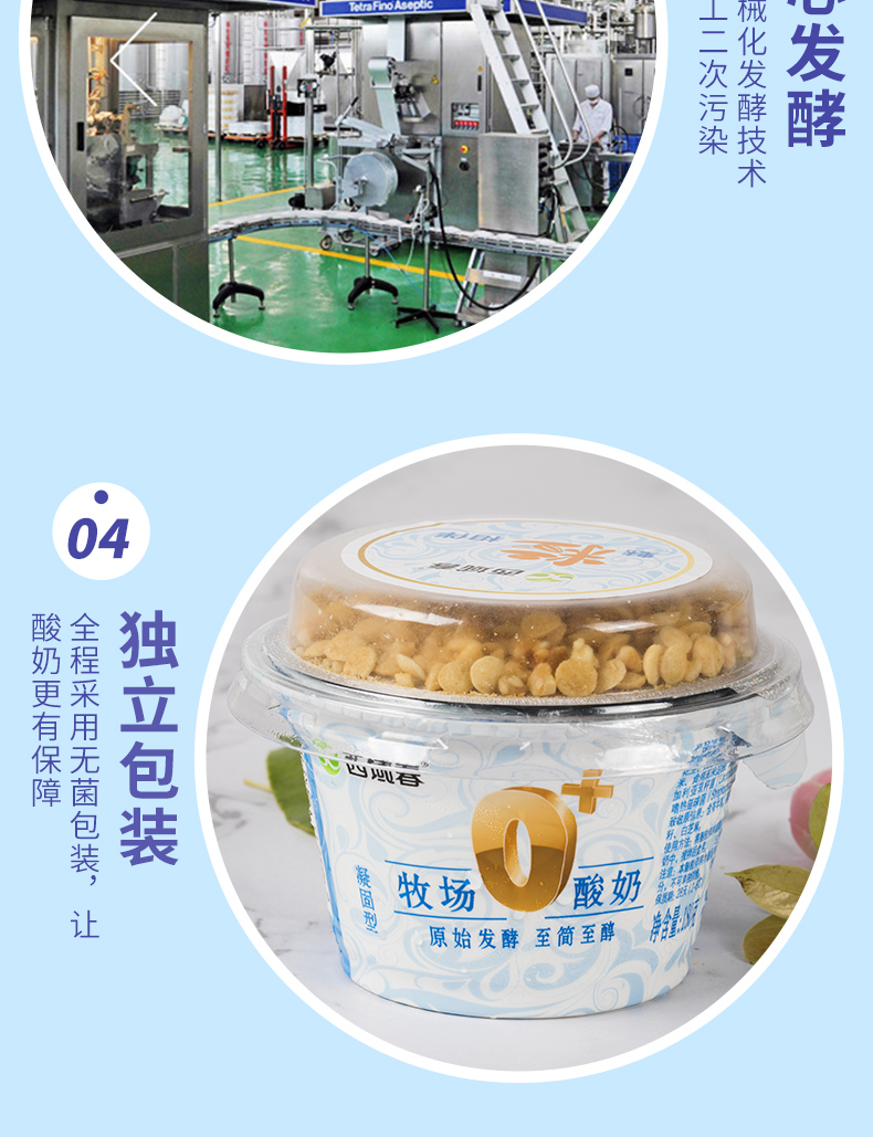 新疆老酸奶牧场0 坚果整箱杯装浓缩益生菌风味发酵180g*10 牧场坚果