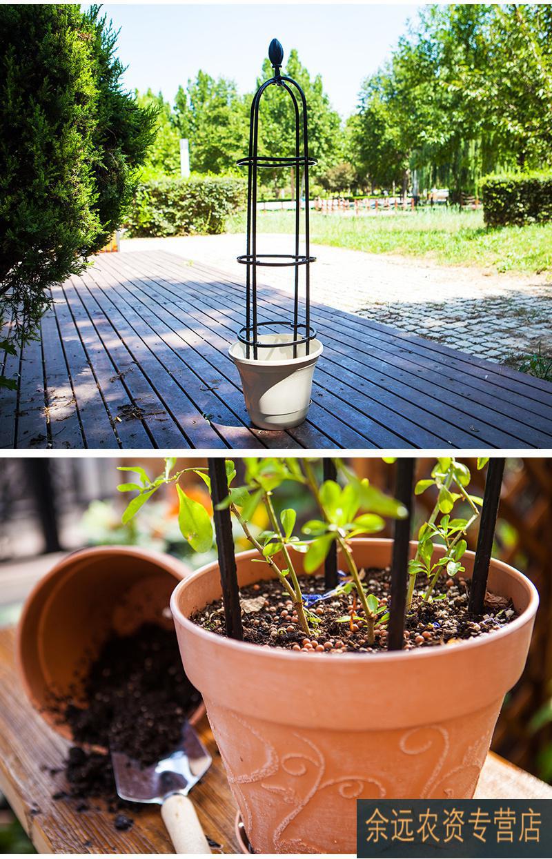 昙花支架昙花架子支架固定蓝雪花爬藤架植物造型蟹爪兰架子支架多层