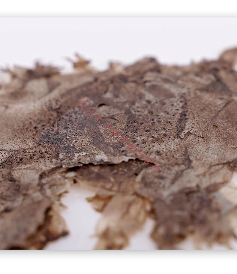 蟾蜍衣 蟾蜍衣 蟾蜍衣粉 癞蛤蟆皮 十片装 5张大蟾蜍衣