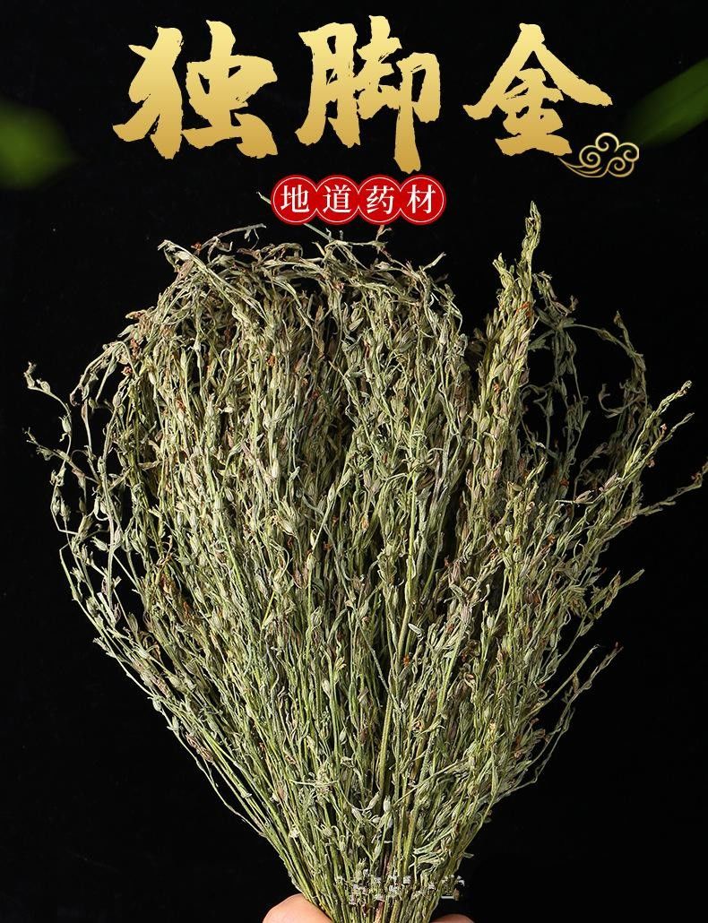 黄花草的作用图片