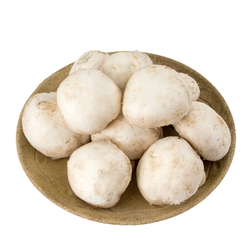 晨臻蘑菇/口菇3斤新鲜蔬菜菌类 菜市场应季礼盒团建