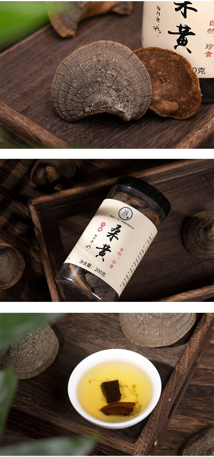 李时珍西藏桑黄正宗野生桑黄野生森林1瓶装