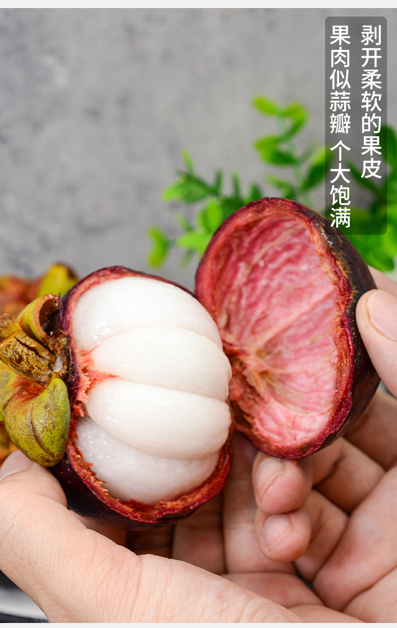 采缇泰国进口山竹新鲜水果5斤特级6a油麻竹当季整箱