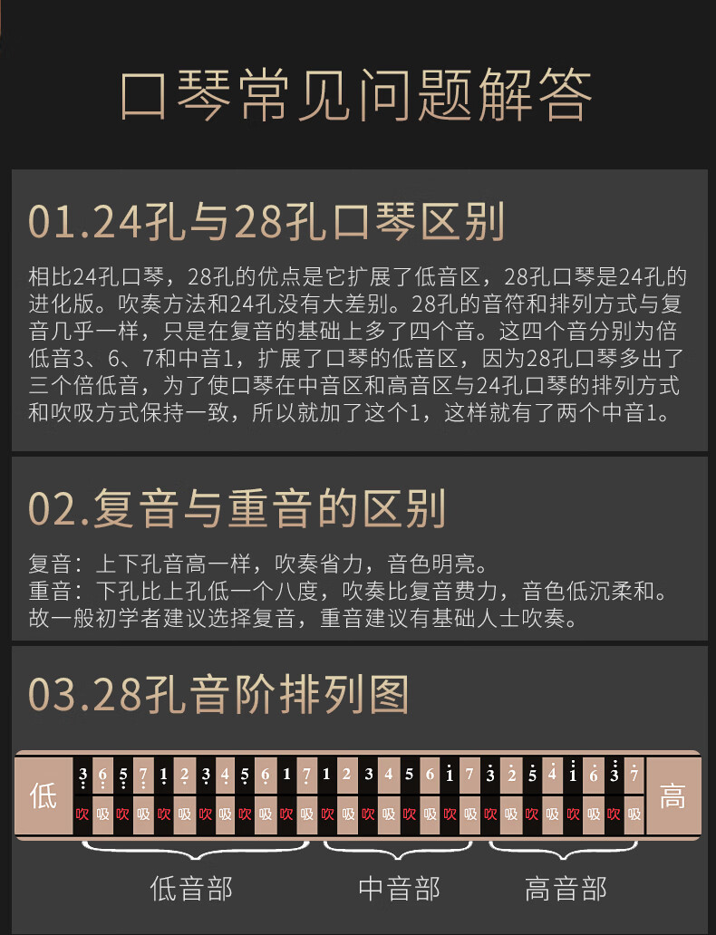 德国进口音簧28孔复音重音口琴abcdfg调演奏级演奏级复音银色c调送11